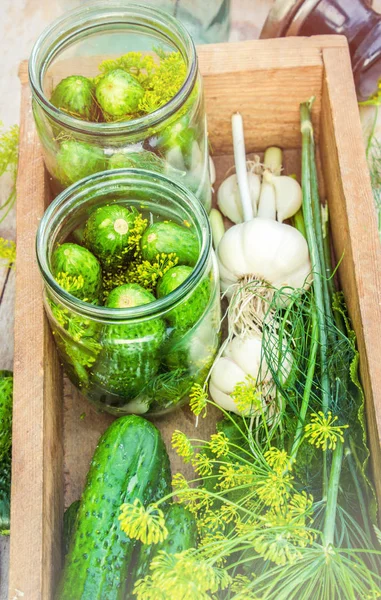 Preparación para pepinos en vinagre. Preservación. Enfoque selectivo . — Foto de Stock