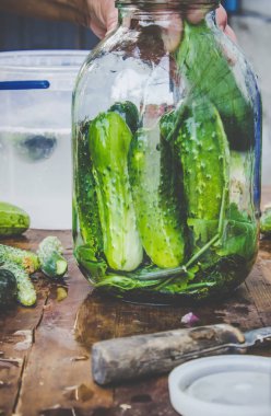 Salatalık dekapaj için hazırlık. Koruma. Seçici odak. 