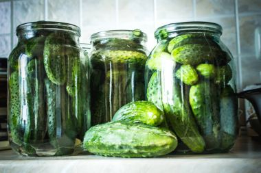 Salatalık dekapaj için hazırlık. Koruma. Seçici odak. 