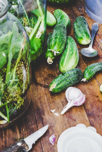 Förberedelse för betning gurkor. Bevarande. Selektivt fokus. — Stockfoto