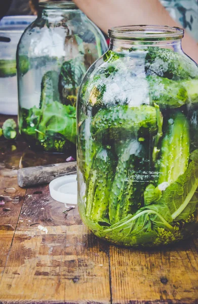 Preparation for pickling cucumbers. Preservation. Selective focus.