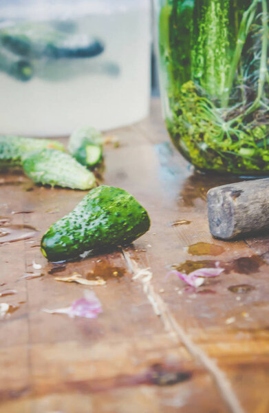 Preparation for pickling cucumbers. Preservation. Selective focus. 