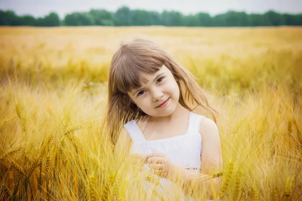 Dziecko w polu pszenicy. Selektywny fokus. — Zdjęcie stockowe