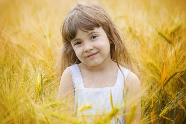 Dziecko w polu pszenicy. Selektywny fokus. — Zdjęcie stockowe