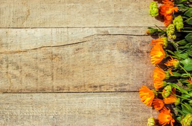 Calendula officinalis ahşap arka plan üzerinde. Seçici odak. 