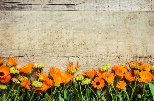 Calendula officinalis auf Holzgrund. Selektiver Fokus. — Stockfoto