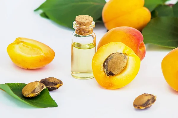 The apricot kernel oil. — Stock Photo, Image