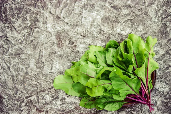 pancar yaprakları. Mangold. seçici odak.