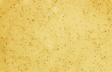 Yüz ve vücut için fırçalayın. Seçici odak.