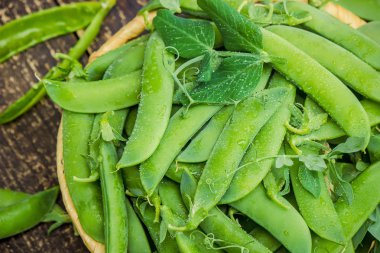 bezelye. seçici odak. 