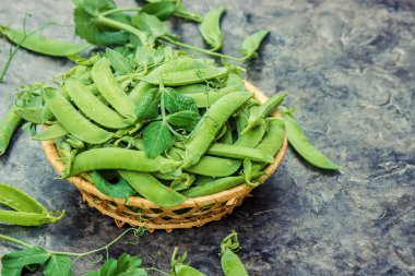 bezelye. seçici odak. 