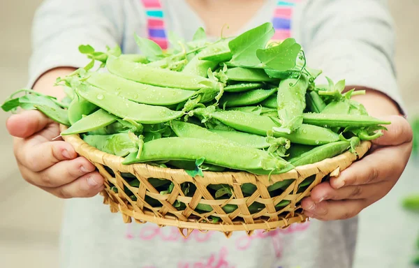 Legume Consumption in Toddlers Improves Nutrition — Stock Photo