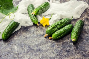 salatalık. seçici odak. 