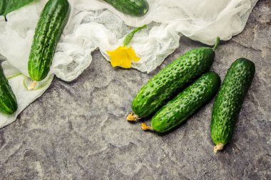 salatalık. seçici odak. 