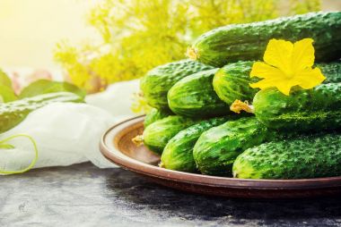 salatalık. seçici odak. 