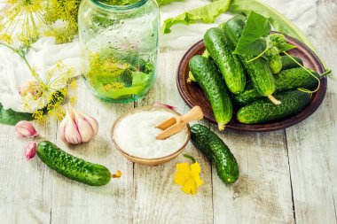 Salatalık dekapaj için hazırlık. Koruma. Seçici odak. 