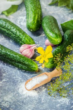 Salatalık dekapaj için hazırlık. Koruma. Seçici odak. 