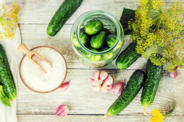 Salatalık dekapaj için hazırlık. Koruma. Seçici odak. 