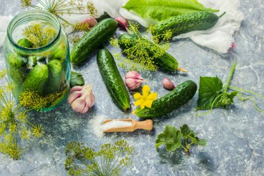 Salatalık dekapaj için hazırlık. Koruma. Seçici odak. 