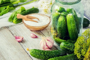 Salatalık dekapaj için hazırlık. Koruma. Seçici odak. 