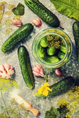 Salatalık dekapaj için hazırlık. Koruma. Seçici odak. 