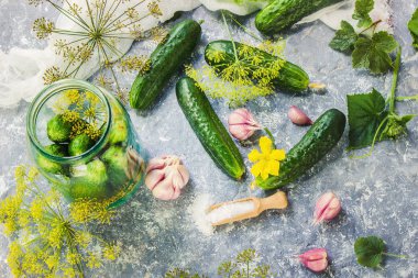 Salatalık dekapaj için hazırlık. Koruma. Seçici odak. 