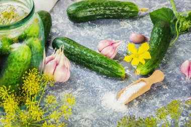 Salatalık dekapaj için hazırlık. Koruma. Seçici odak. 