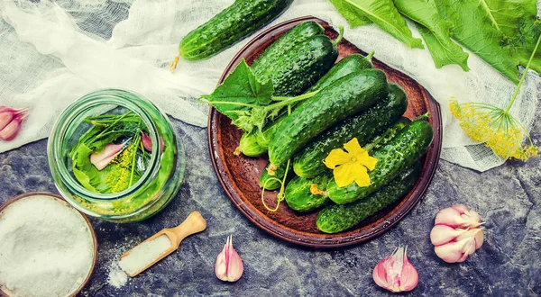 Preparation for pickling cucumbers. Preservation. Selective focus. — Stock Photo, Image