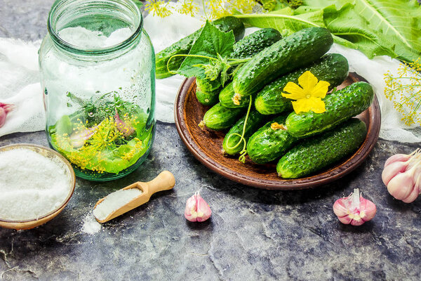 Preparation for pickling cucumbers. Preservation. Selective focus. 