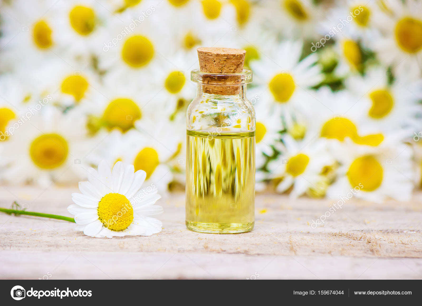 Chamomile Extract