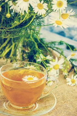 Papatya çayı. Seçici odak.