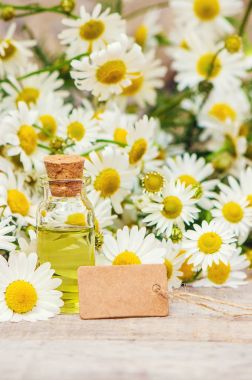 Papatya özü. Seçici odak. 