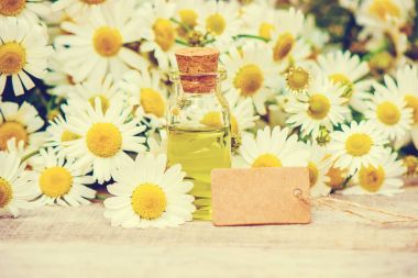 Papatya özü. Seçici odak. 