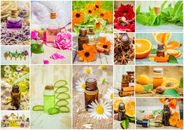 kolaj otlar ve uçucu yağ. 