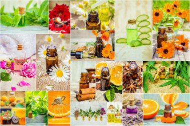 kolaj otlar ve uçucu yağ. 