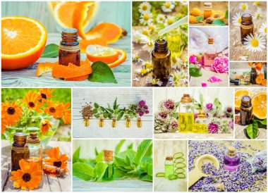 kolaj otlar ve uçucu yağ. 