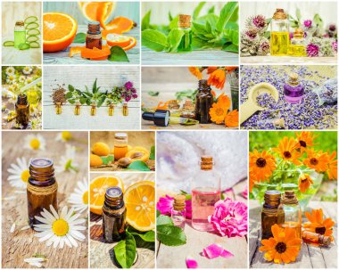 kolaj otlar ve uçucu yağ. 