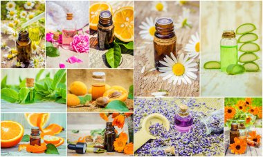 kolaj otlar ve uçucu yağ. 