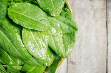 Yeşiller, kuzukulağı ve ıspanak yaprakları. Seçici odak.