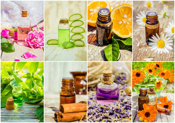 collage of herbs and essential oil. 