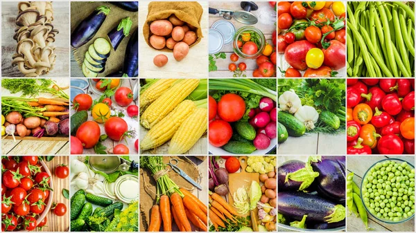 Collage verschiedener Gemüsesorten. Vegetarisches Essen. — Stockfoto
