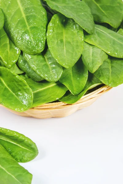 Le foglie di verdi, acetosa e spinaci. Focus selettivo . — Foto Stock