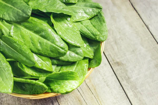 Le foglie di verdi, acetosa e spinaci. Focus selettivo . — Foto Stock