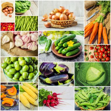 Farklı sebze kolaj. Vejetaryen yiyecekler.