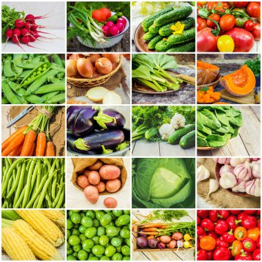 Farklı sebze kolaj. Vejetaryen yiyecekler.