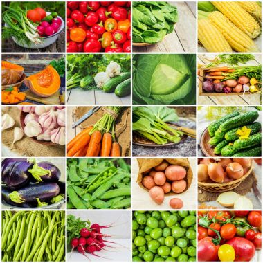 Farklı sebze kolaj. Vejetaryen yiyecekler.