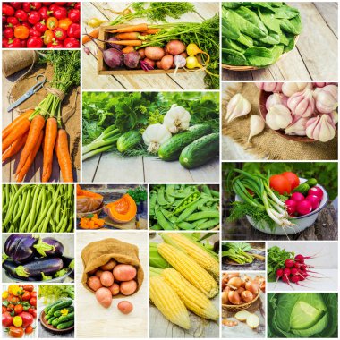 Farklı sebze kolaj. Vejetaryen yiyecekler.