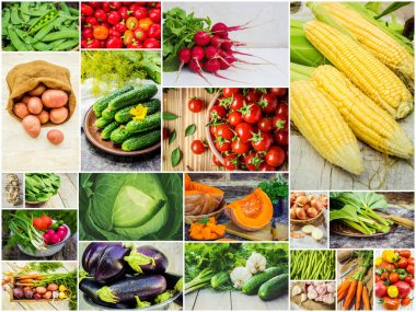 Farklı sebze kolaj. Vejetaryen yiyecekler.