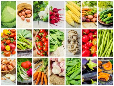 Farklı sebze kolaj. Vejetaryen yiyecekler.