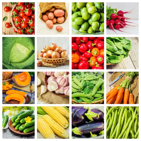 Collage van verschillende groenten. Vegetarische maaltijden. — Stockfoto